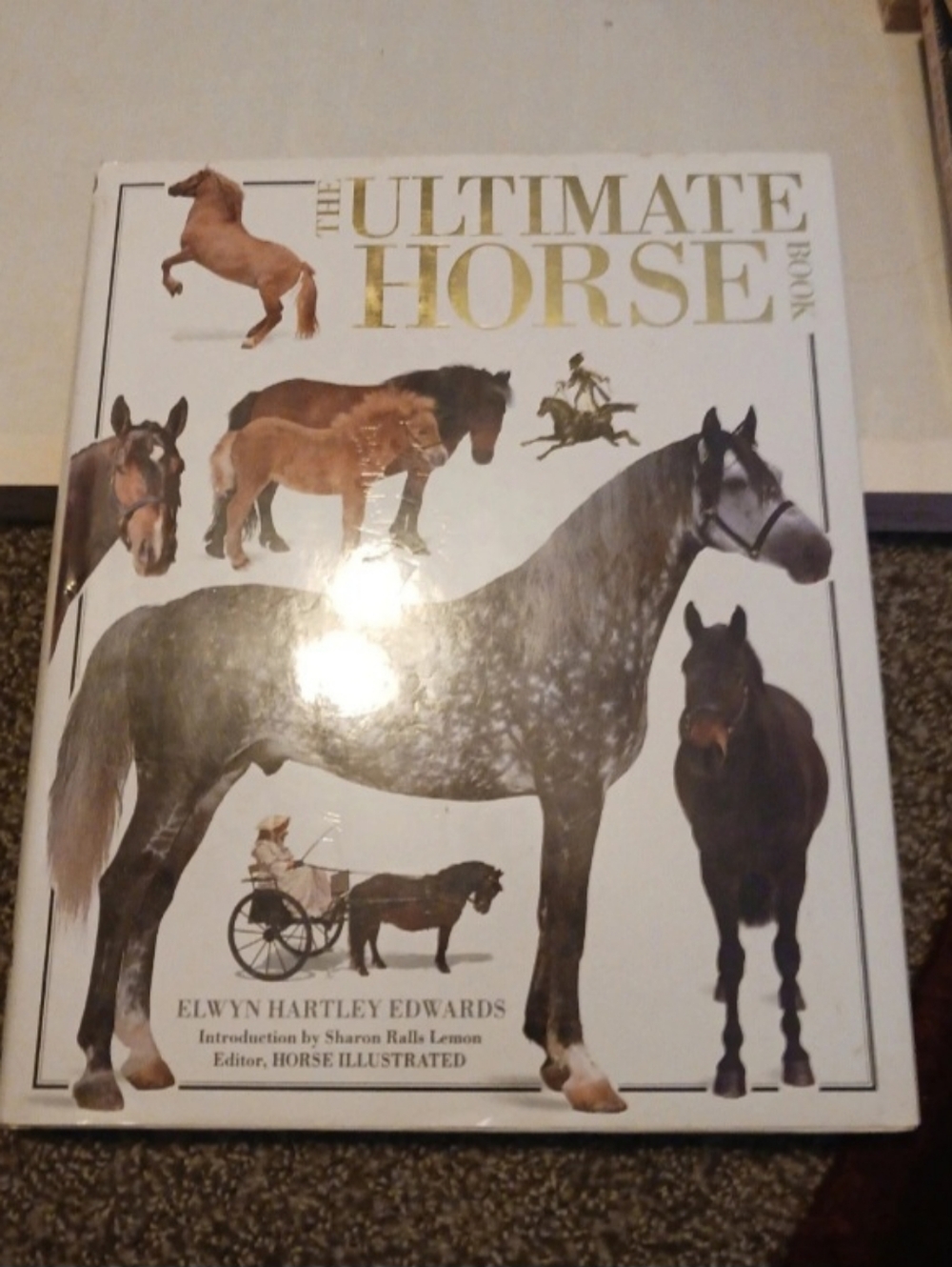 The Ultimate Horse Book - Illustrated Hardcover, White & Gold